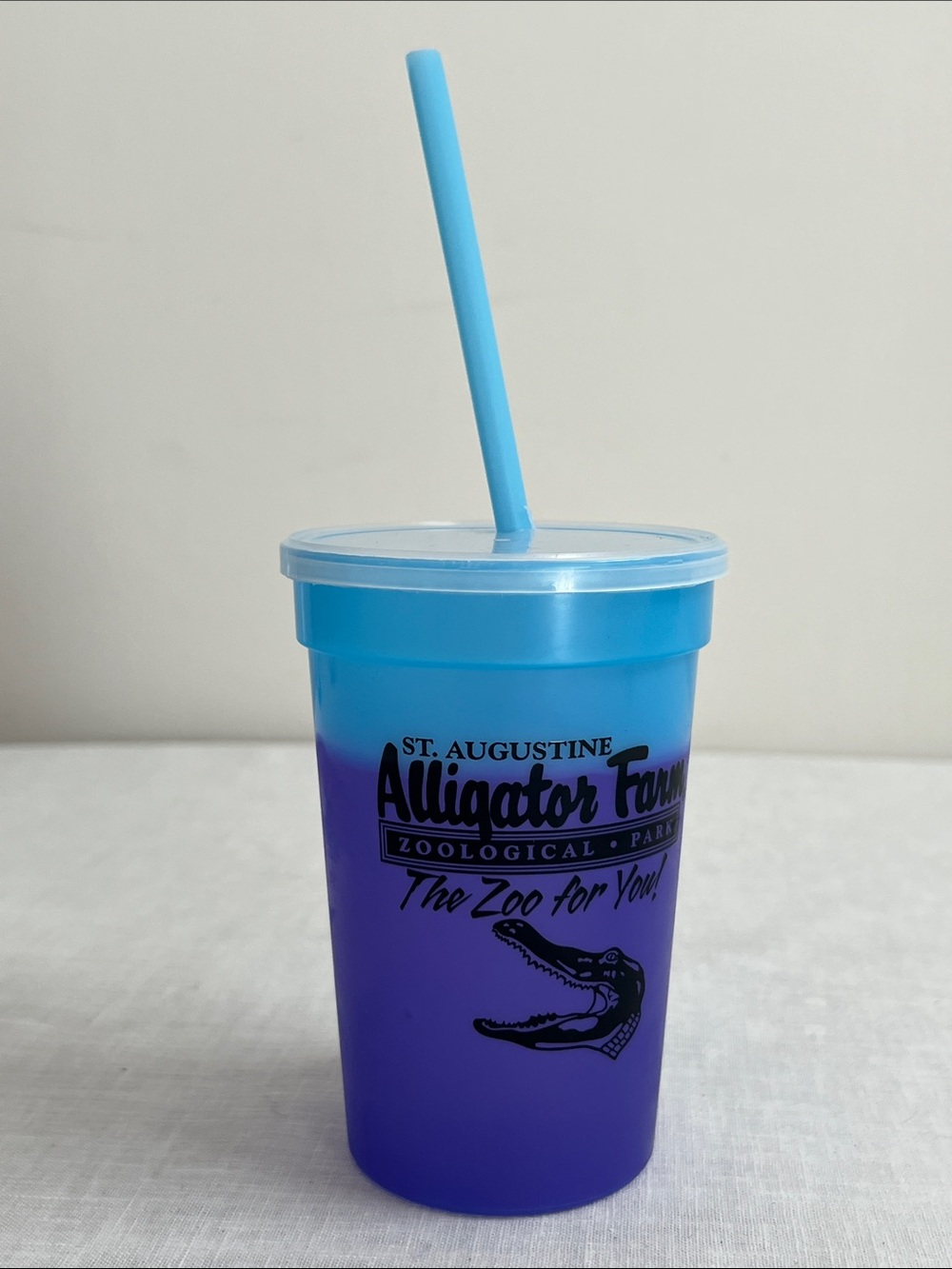 🌞 Alligator Farm Zoological Park Blue Souvenir Tumbler